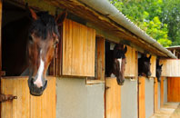 free Halterworth stable construction quotes